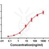 antibody-DME100077 CD33 ELISA FIG1