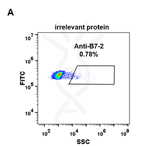 antibody-DME100084 B7 2 293 A Fig2