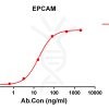 antibody-DME100147 EPCAM ELISA Fig1