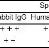 antibody-dme101139 rabbit igg elisa1