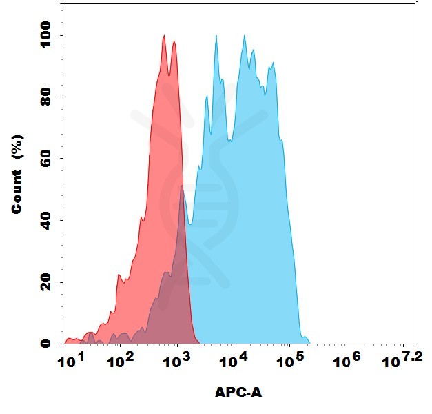 antibody-dme101299 adam15 fc1