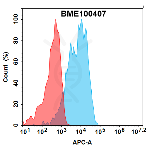 FC-bme100407 siglec15 fc1