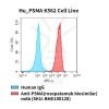 fc-cel100019 hu psma k562 cell line flow