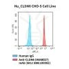 fc-cel100066 hu cldn6 cho s cell line flow