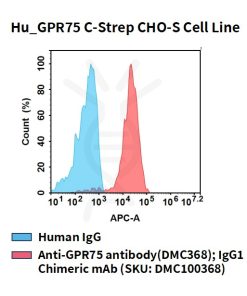 fc-cel100110 hu gpr75 c strep cho s cell line flow