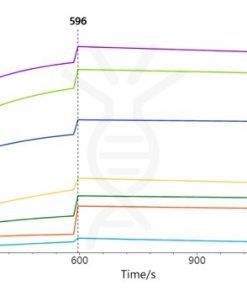 SPR-FLP100014 CLDN18.2 Fig.3 SPR 1