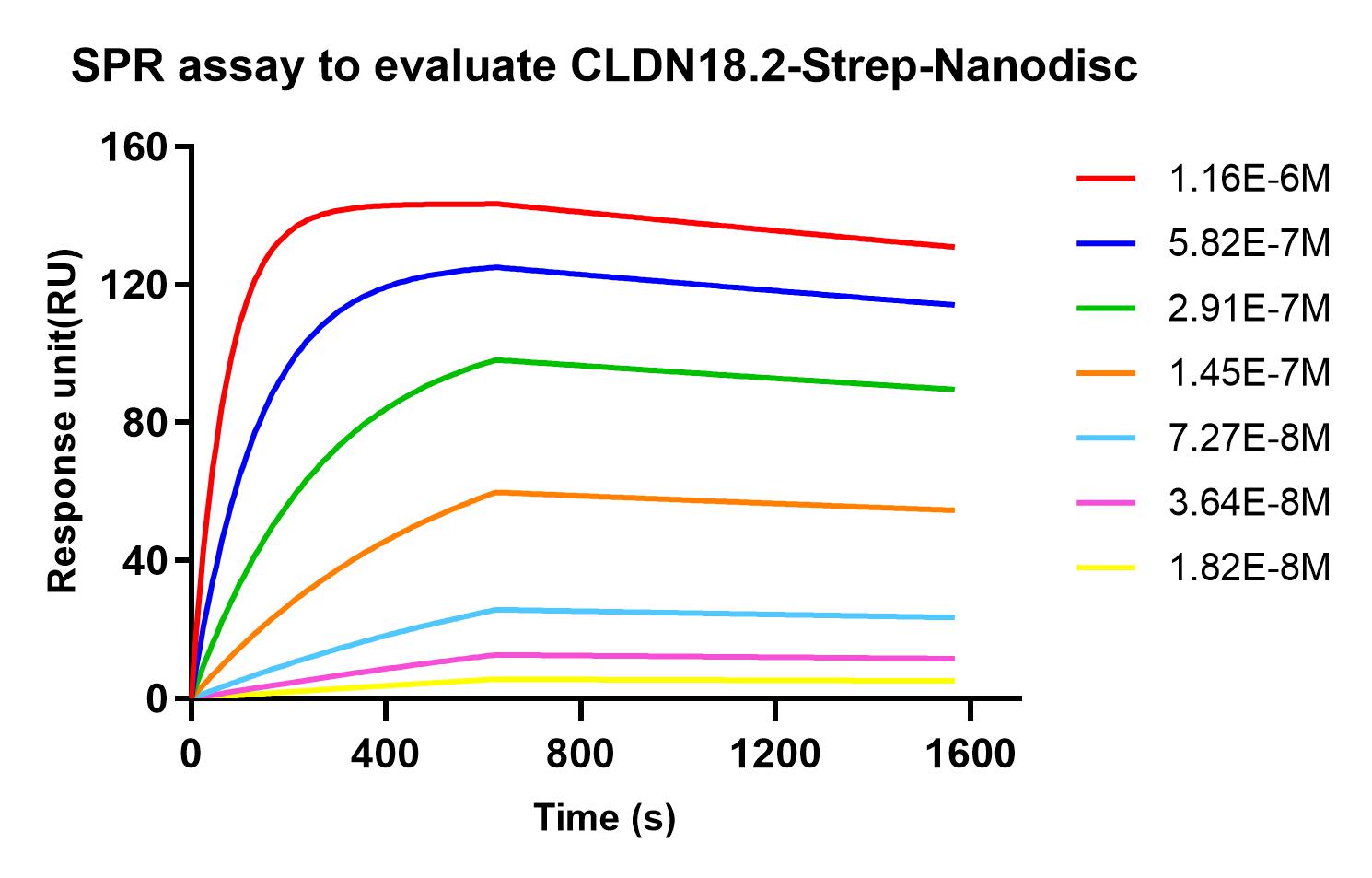 flp120014-cldn18.2-strep-spr1.jpg