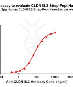 elisa-flp420014 cldn18.2 strep elisa1
