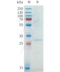 page-flp100014b cldn18.2 sp1
