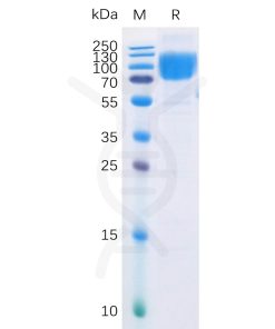 sp-pme100034 b7 2 sp1