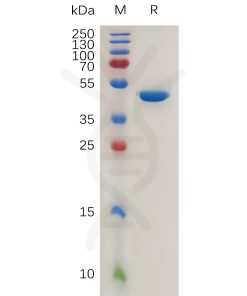sp-pme100783 agr2 sp1