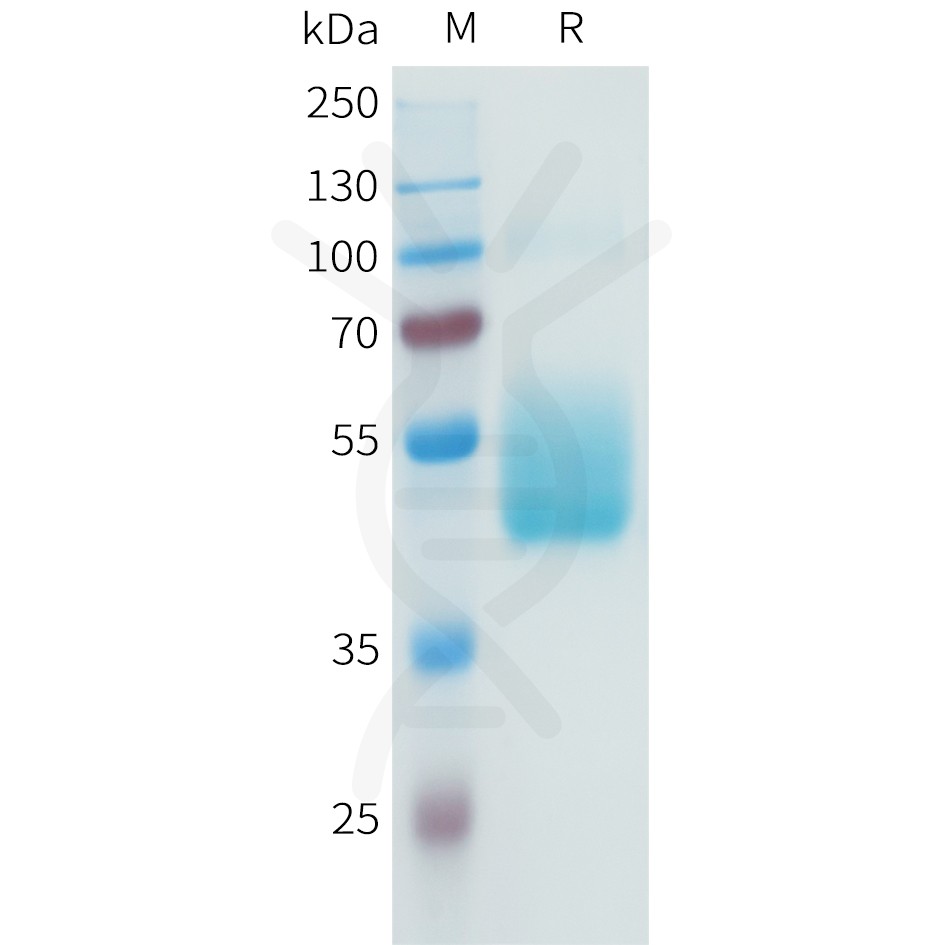sp-pme101590 b7 h3 sp1