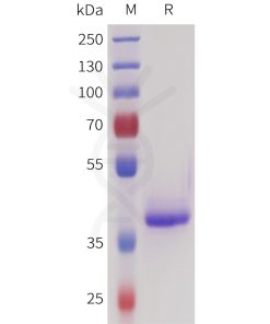 sp-pme101725 sez6 sp1