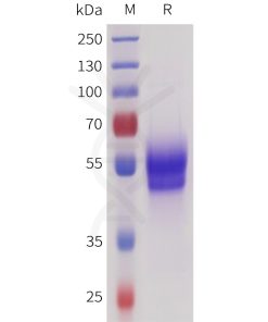sp-pme101727 sez6 sp1