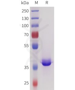 sp-pme101729 sez6 sp1