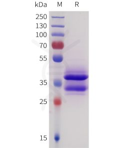 sp-pme101730 sez6 sp1