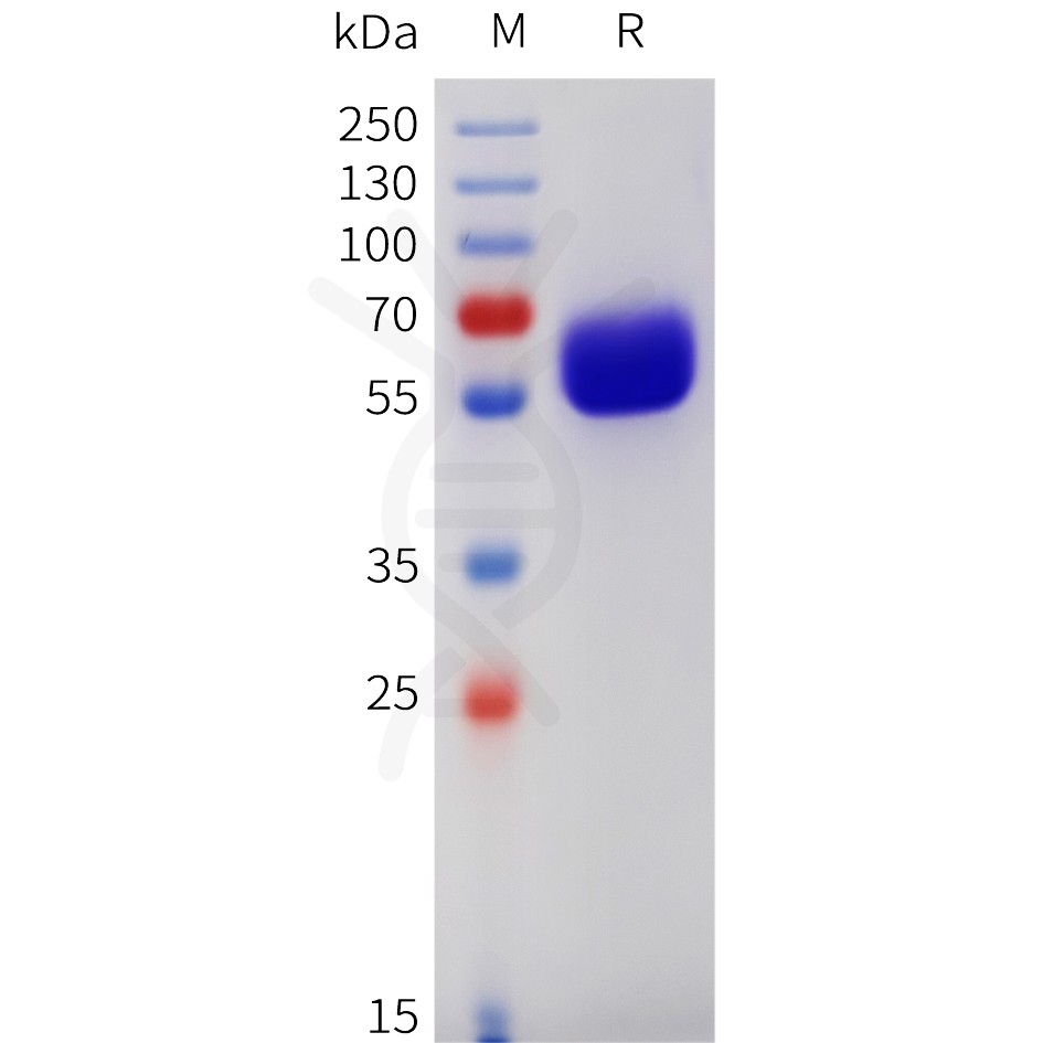sp-pme101742 csf2rb sp1