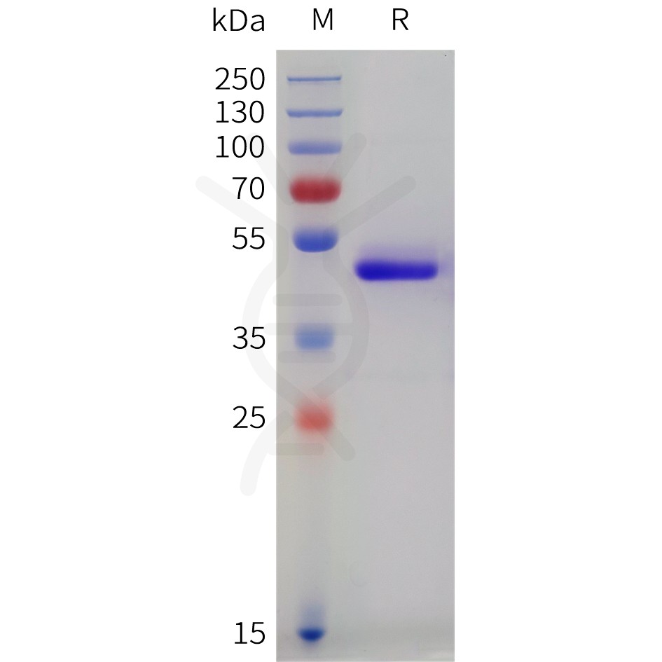 sp-pme101744 sectm1 sp1